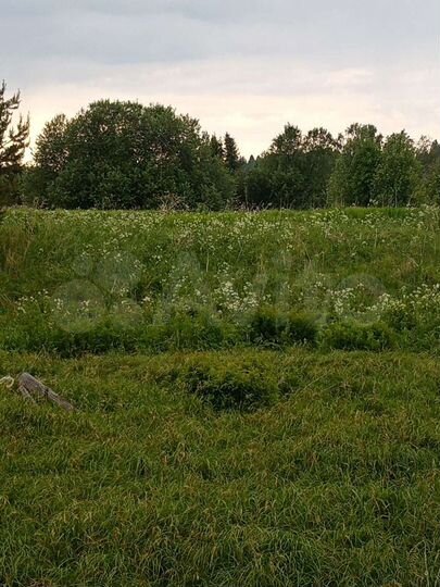 Участок 15 сот. (ИЖС)