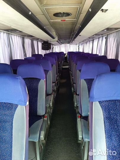 Пассажирские перевозки автобус