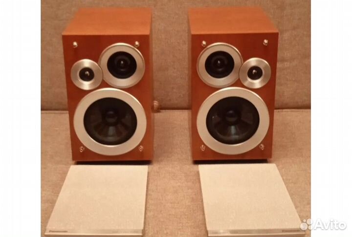 Колонки Panasonic SB-PM91D