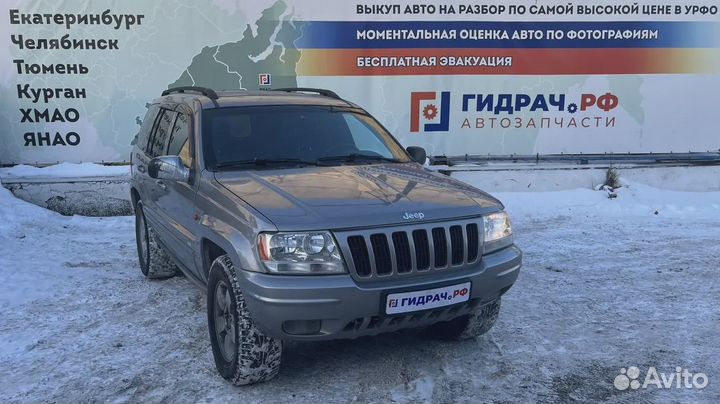 Блок электронный Jeep Grand Cherokee (WJ) 56042134