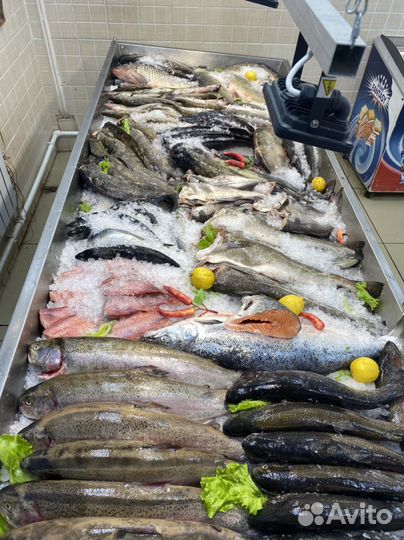 Продавец в рыбный отдел