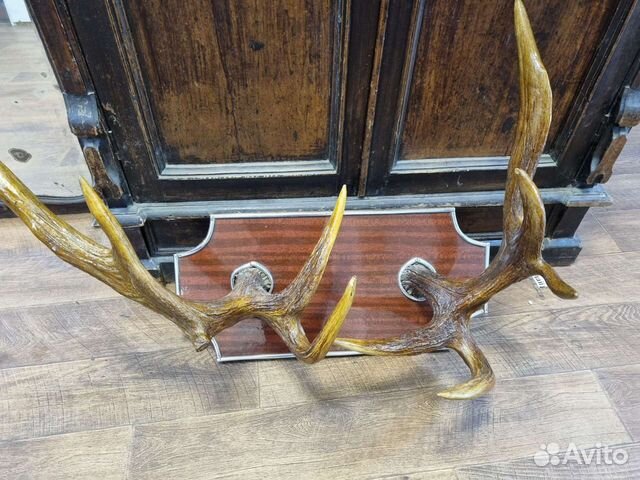 Большие рога, общий вес с подставкой 9100 кг