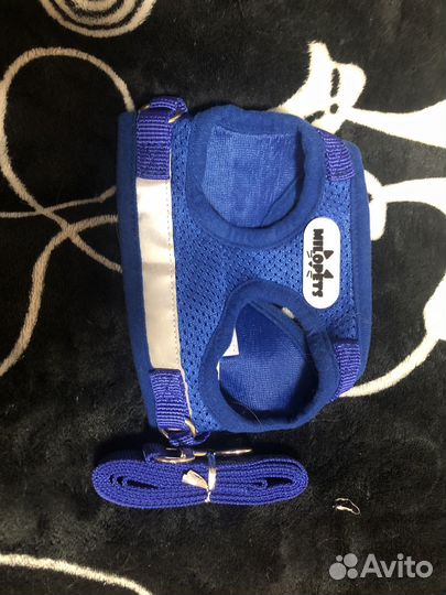 Шлейка для собак и кошек с поводком,S, M, L