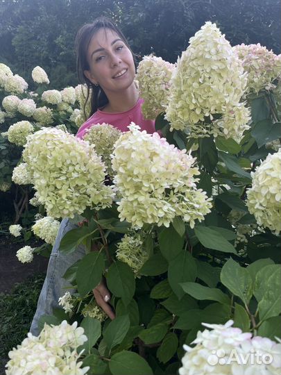 Обучение по маркетплейсам wildberries