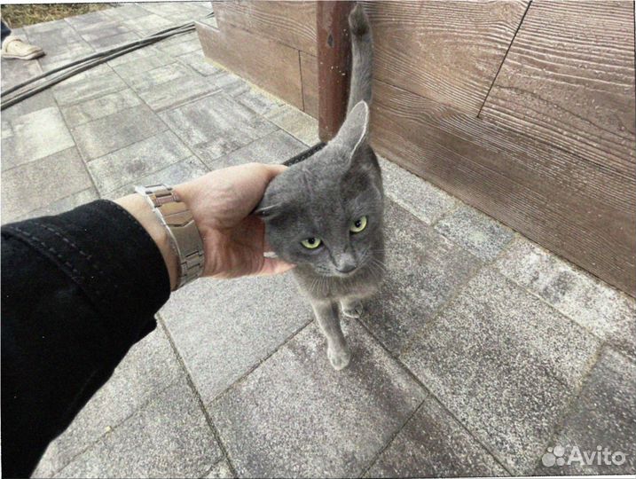 Тротуарная плитка с завода заказ от 120 м2