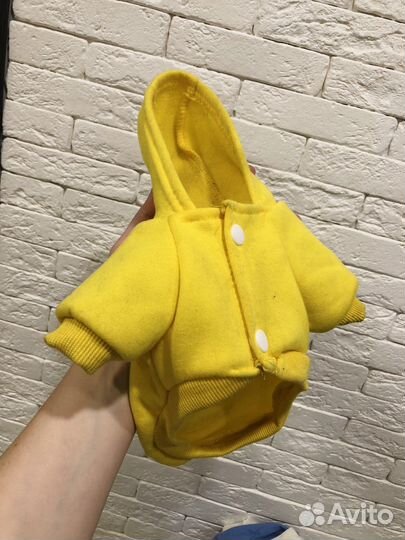 Толстовка для собак мелких пород S