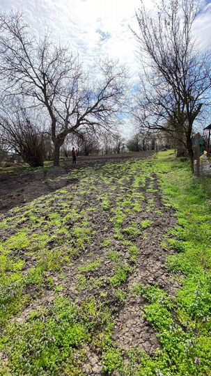 Участок 12 сот. (ИЖС)