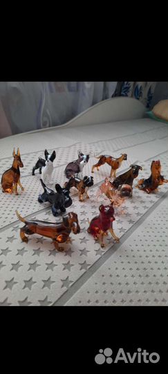 Породы собак