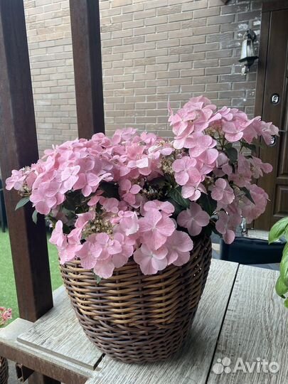 Цветочные Кашпо для летних террасс