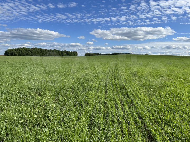 Участок 28,6 га (СНТ, ДНП)