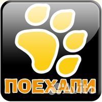 Зоотакси,перевозка С животными