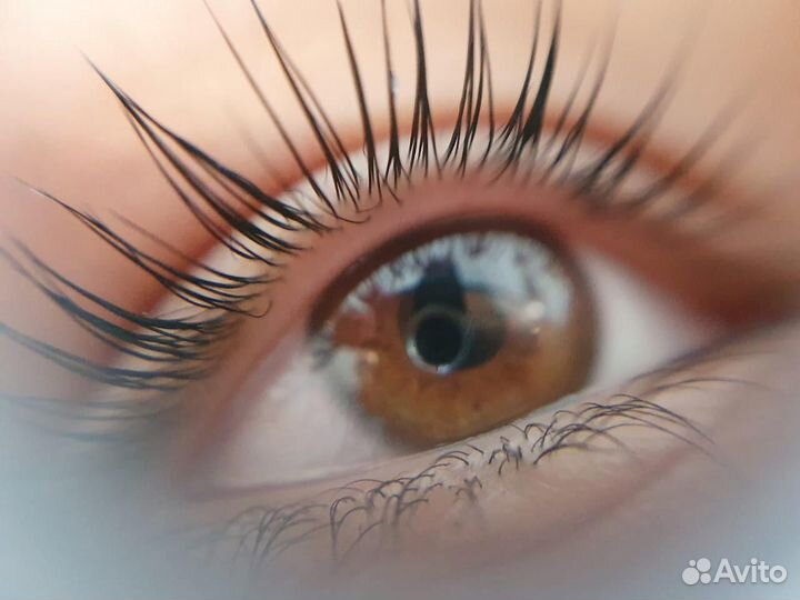 Ламинирование ресниц и бровей. Оформление бровей