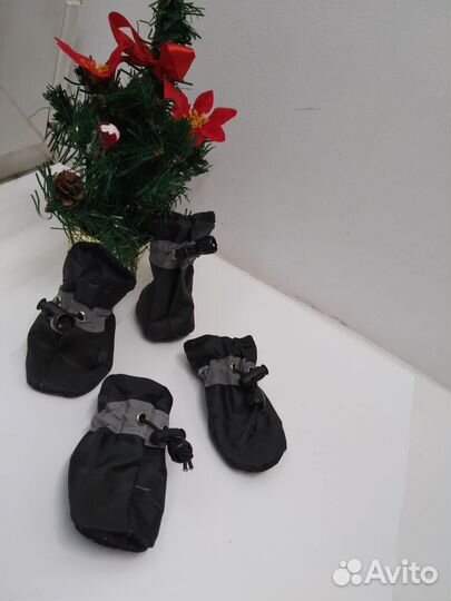 Ботинки для собак