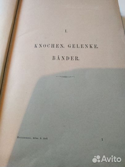 Книга по анатомии человека