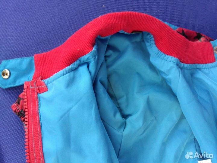 Одежда для таксы