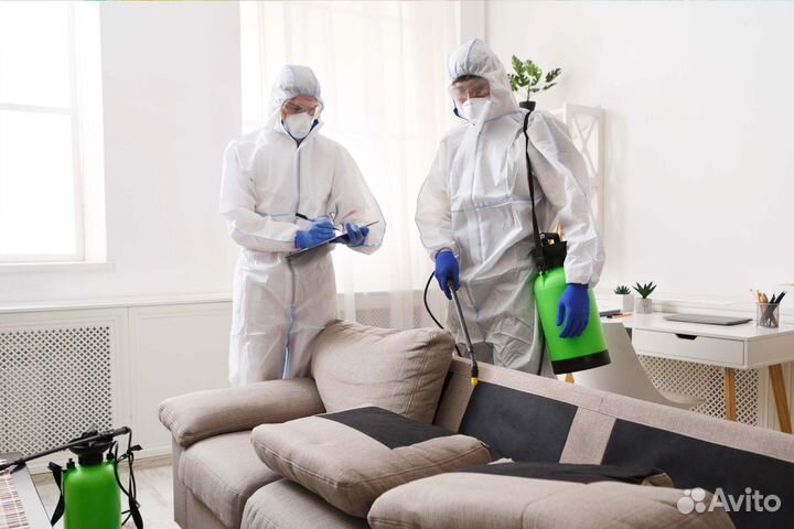 Уничтожение Клопов, тараканов, Дезинфекция