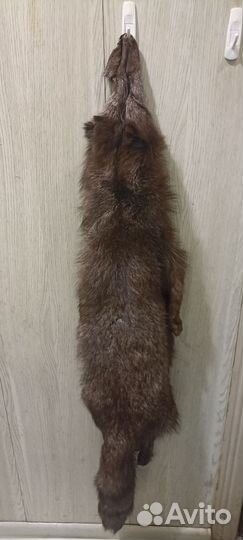 Шкурки чернобурки