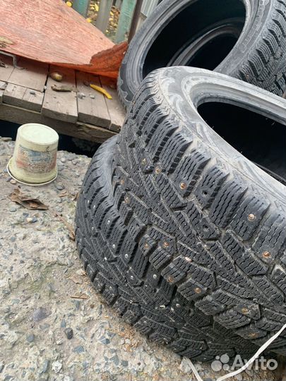 Cordiant Polar SL 205/55 R16