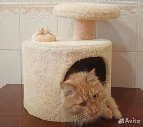 Домик для кошки