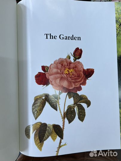 Сад. Ховард Локстон