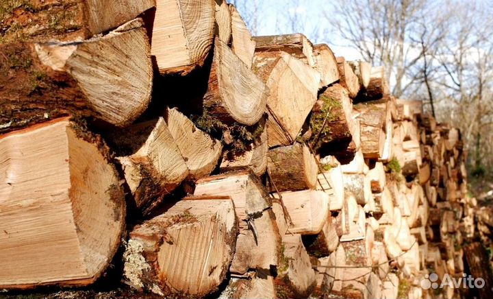 Дрова осина от производителя