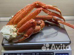 Клешни краба стригуна / дальневосточный краб