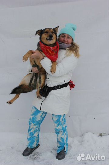 Ася грустит и переживает в приюте