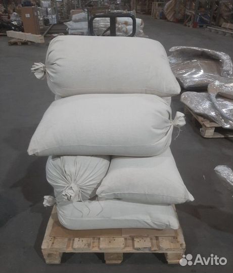 Семена ели на заказ