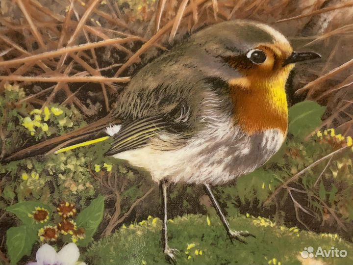 Немецкая Настенная Тарелка. Птицы. Винтаж Фарфор