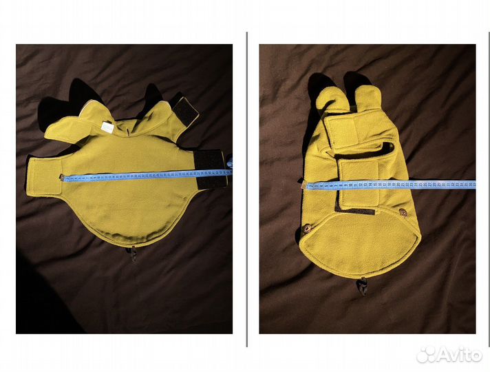 Одежда для собак: попона, комбинезон, куртка