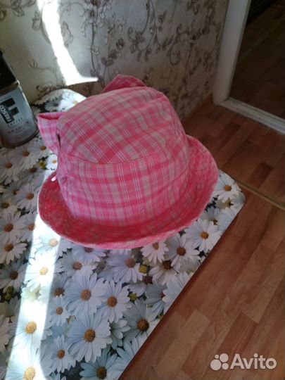 Саженцы мандарина и Панамка для сада новая