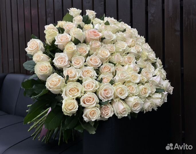 101 роза букет свежих роз. Большие букеты