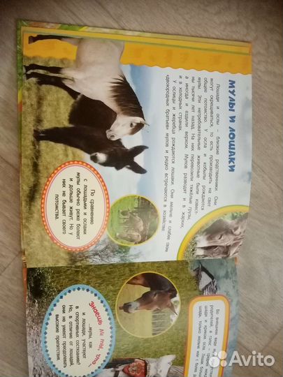 Коллекция Детские энциклопедии