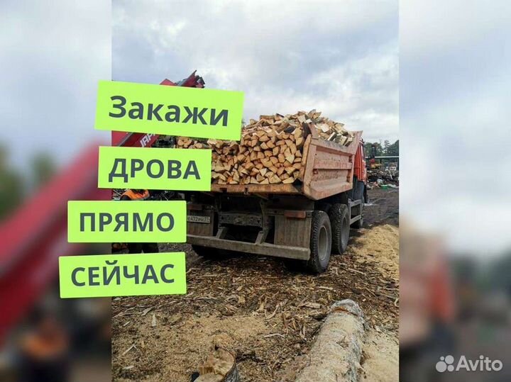 Дрова на дачу