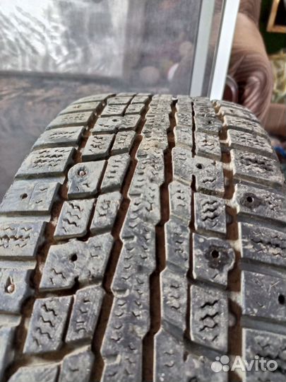 Dunlop Winter Maxx 175/65 R14 82T