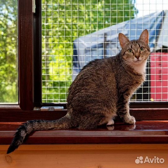 Красотка Глаша