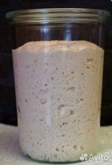 Закваска для хлеба. Закваска для йогурта
