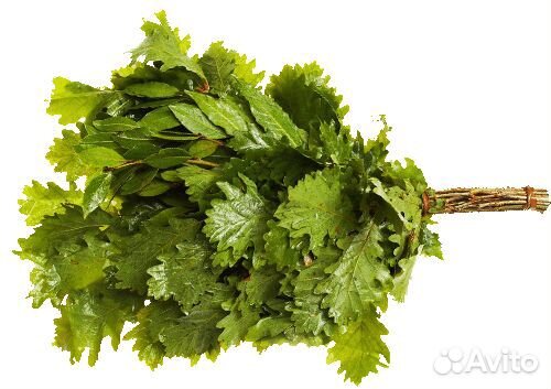 Веник дубовый