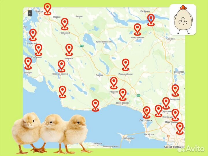 Комбикорм Мегакорм для несушек