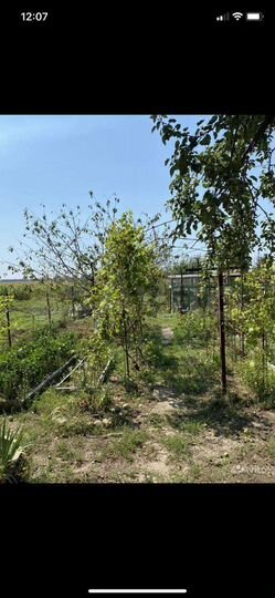 Дом 50 м² на участке 7,5 сот.