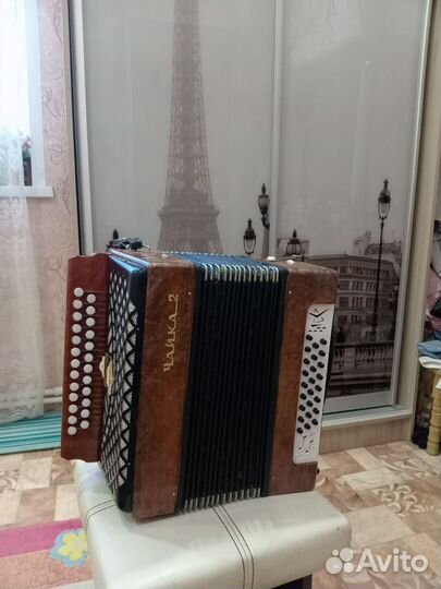 Гармонь чайка 2