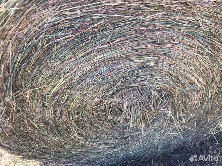 Село в луронах