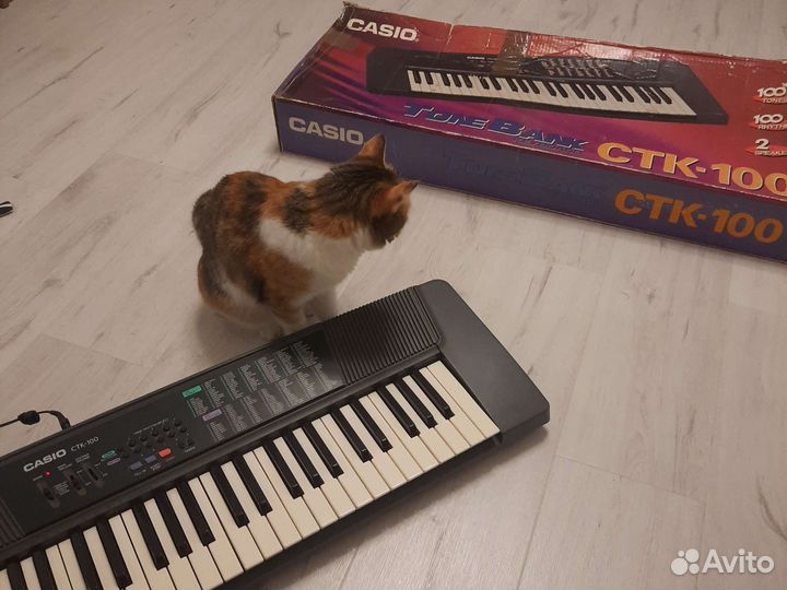 Синтезатор casio ctk-100