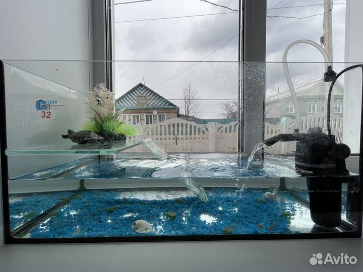 Красноухая черепаха с аквариумом