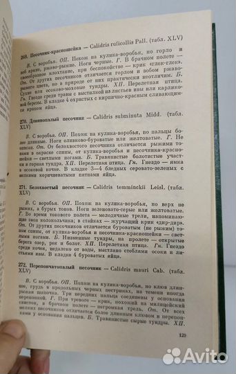 Беме Р.Л., Кузнецов А.А. Птицы открытых и околовод