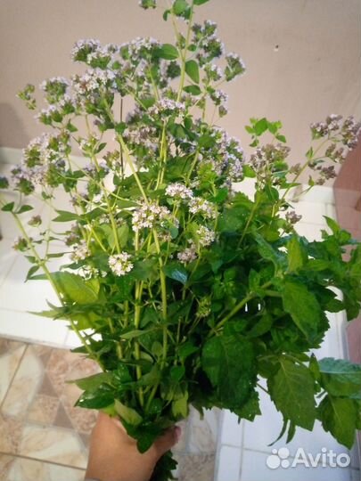 Ароматный букет в чай