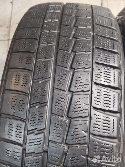 Dunlop Winter Maxx WM01 205/50 R17 93T