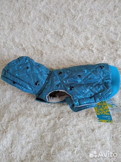 Одежда для собак мелких пород