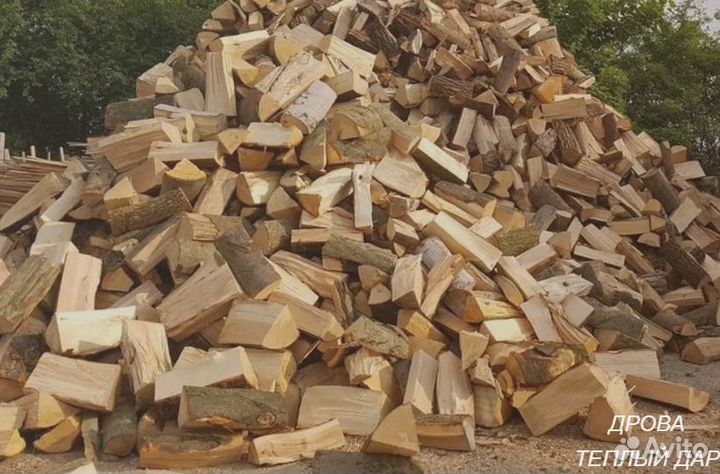 Дрова сухие