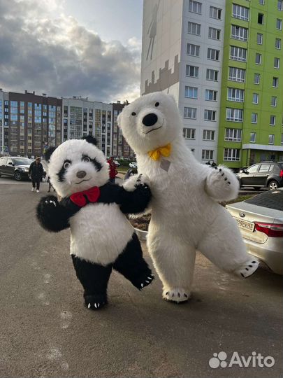 Белый мишка поздравление панда медведь